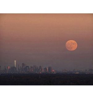 Meet your Posher, Selene